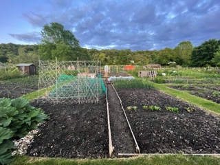 Photo of Allotments